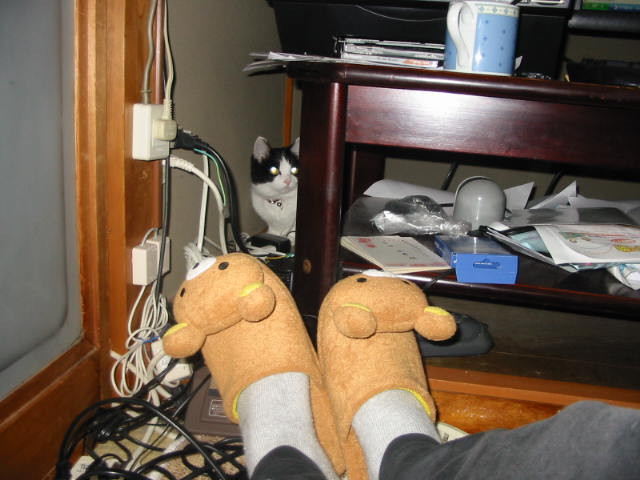 コメント67の画像