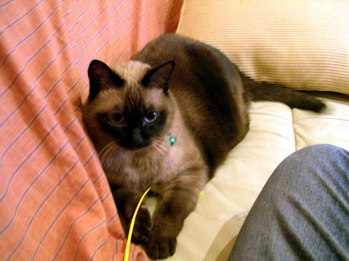 コメント59の画像