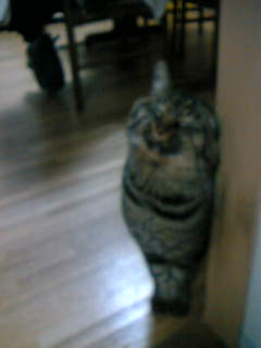 コメント85の画像