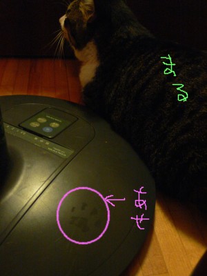 コメント23の画像