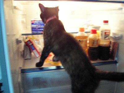 コメント55の画像