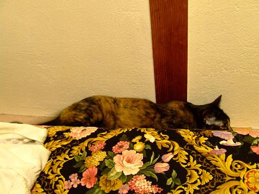 コメント87の画像