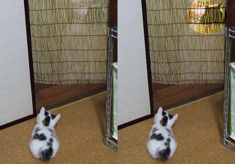 コメント91の画像