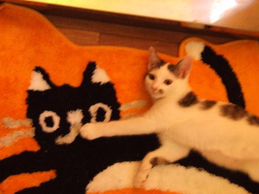 コメント117の画像