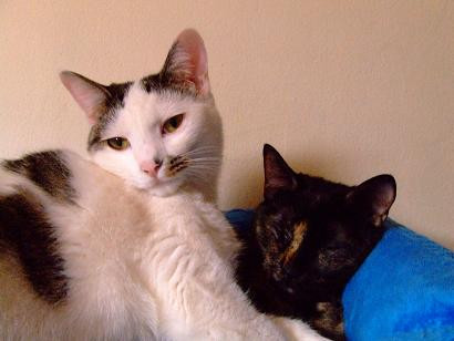 コメント134の画像