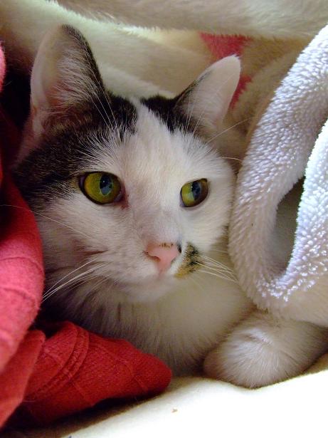 コメント142の画像