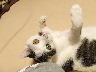 コメント146の画像