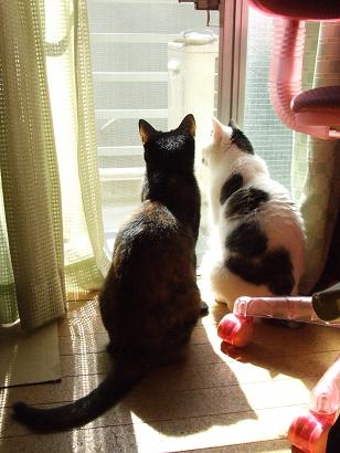 コメント147の画像