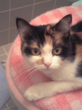 コメント143の画像