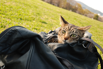 コメント145の画像