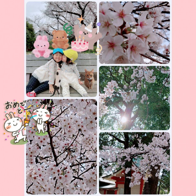 コメント327の画像