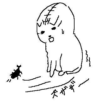 コメント27の画像
