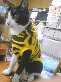 コメント150の画像