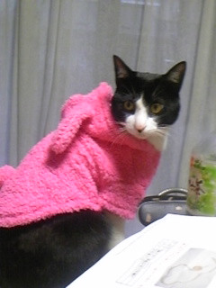 コメント152の画像