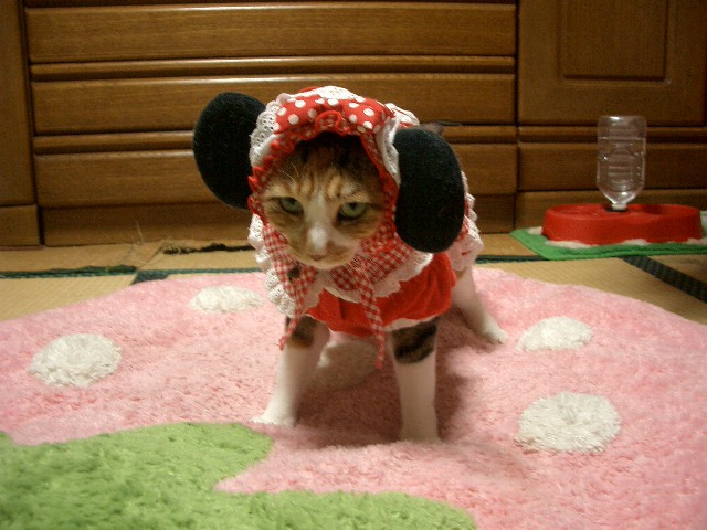 コメント140の画像