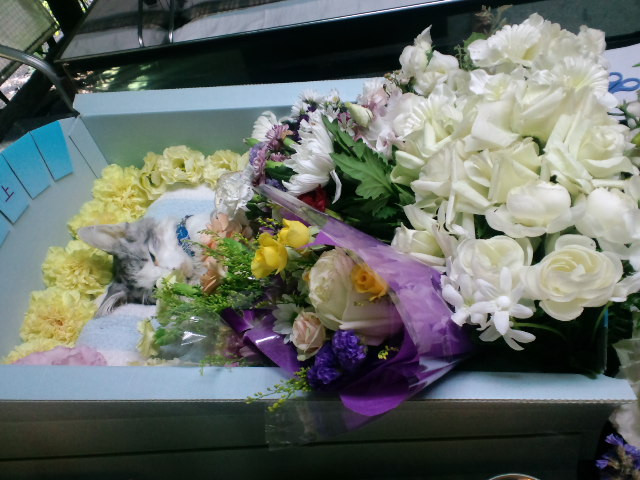 コメント148の画像