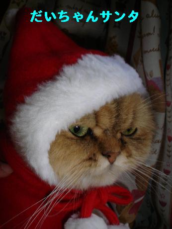 コメント133の画像