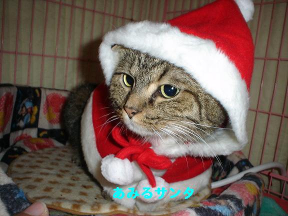 コメント134の画像