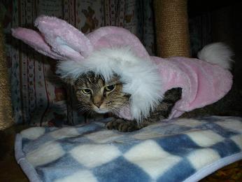 コメント139の画像