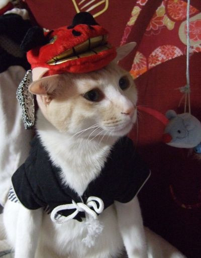 コメント136の画像