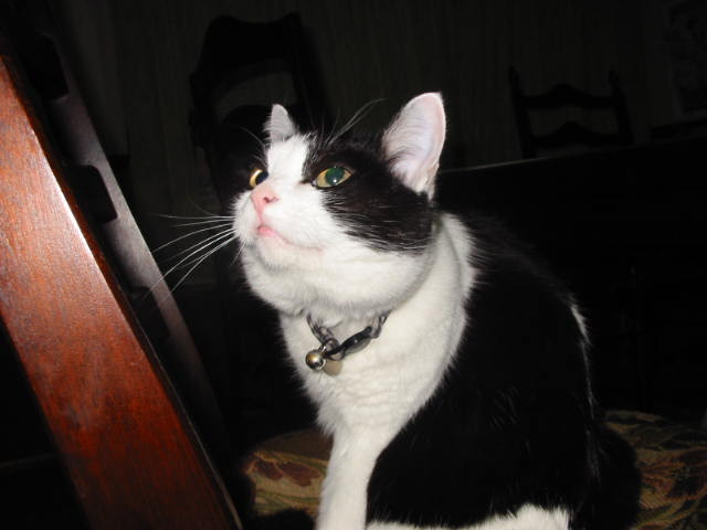 コメント41の画像