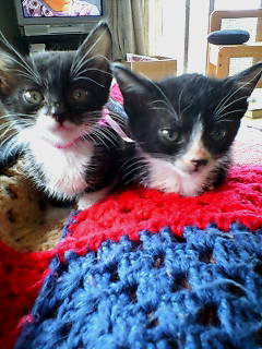 コメント58の画像