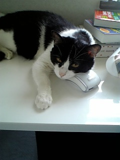 コメント67の画像