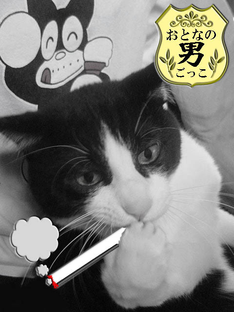 コメント60の画像