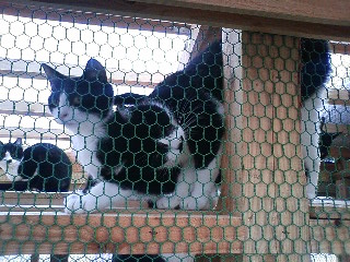 コメント75の画像