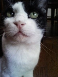 コメント68の画像