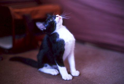 コメント69の画像