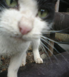 コメント72の画像