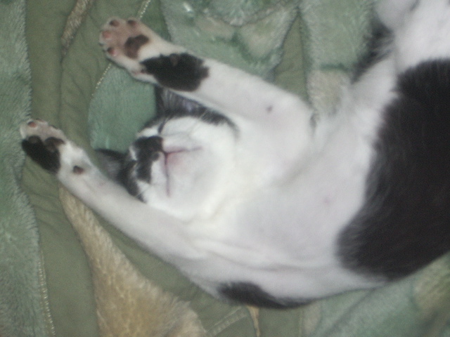 コメント77の画像