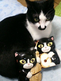 コメント4の画像