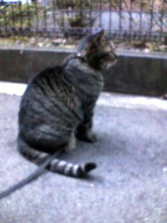 コメント76の画像