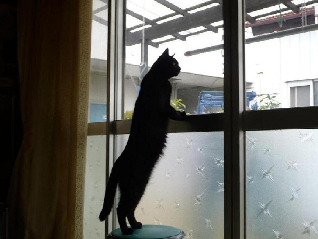 コメント15の画像