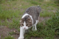 コメント65の画像