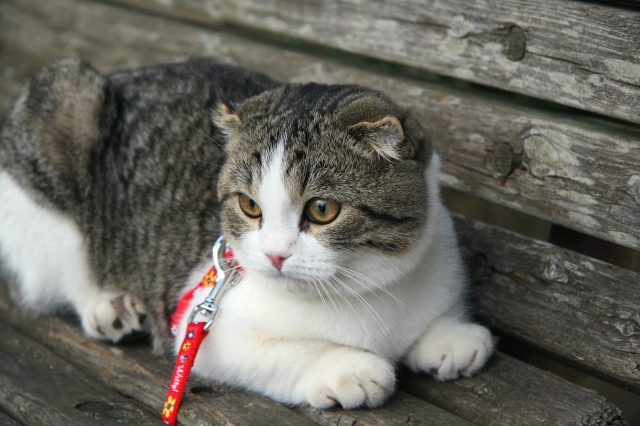 コメント67の画像