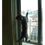 やんちゃ猫列伝