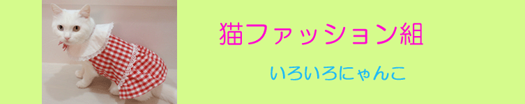 猫組トップ画像