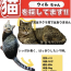 ウィルちゃん