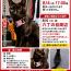 カミュ CAMUES