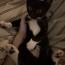 ねこすけ