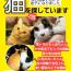 ちゃあ、みぃ