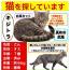 ごん