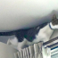 コタビ