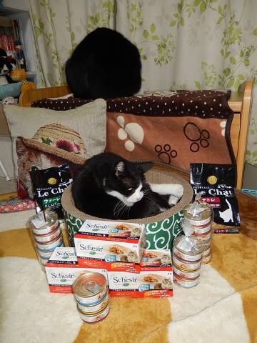 愛じゃよ 愛 By髭爺 かわいい猫写真 猫画像の投稿サイト ネコジルシ