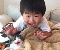 ネコ写真