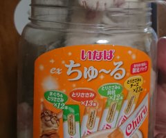 ネコ写真