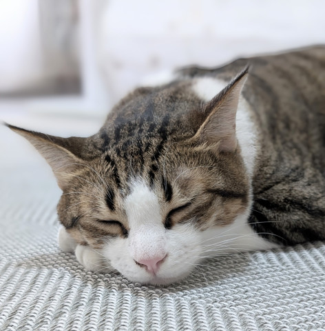 おねむ